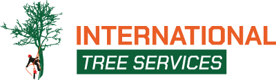logo international International Tree Services