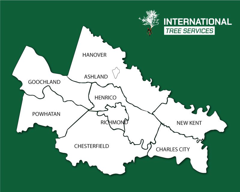 mapa international International Tree Services