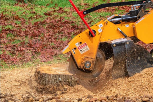 Stump Removal Services in Midlothian